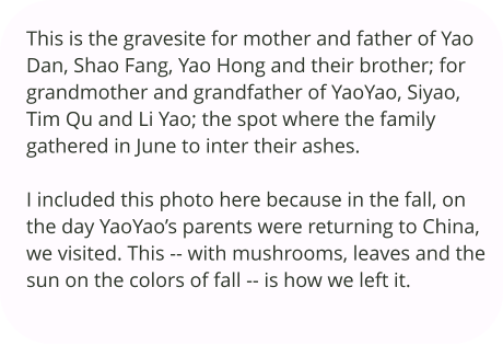 This is the gravesite for mother and father of Yao Dan, Shao Fang, Yao Hong and their brother; for grandmother and grandfather of YaoYao, Siyao, Tim Qu and Li Yao; the spot where the family gathered in June to inter their ashes.   I included this photo here because in the fall, on the day YaoYao’s parents were returning to China, we visited. This -- with mushrooms, leaves and the sun on the colors of fall -- is how we left it.