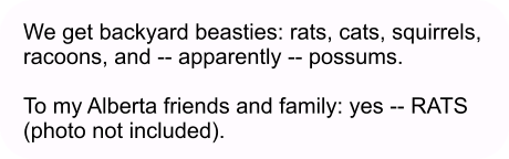 We get backyard beasties: rats, cats, squirrels, racoons, and -- apparently -- possums.   To my Alberta friends and family: yes -- RATS (photo not included).